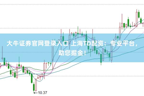 大牛证券官网登录入口 上海TD配资：专业平台，助您掘金！