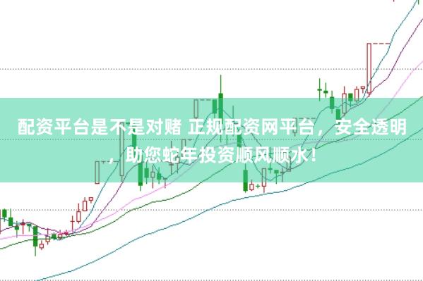 配资平台是不是对赌 正规配资网平台,安全透明,助您蛇年投资顺风顺水!