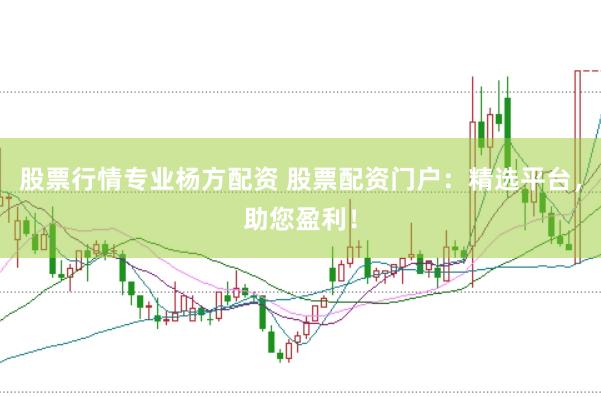 股票行情专业杨方配资 股票配资门户：精选平台，助您盈利！