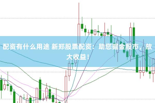 配资有什么用途 新郑股票配资:助您掘金股市,放大收益!