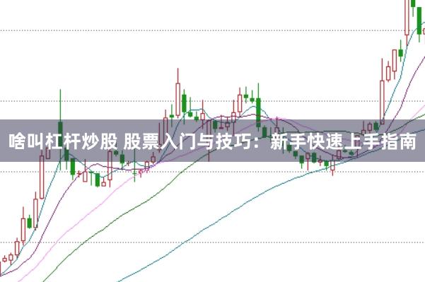啥叫杠杆炒股 股票入门与技巧：新手快速上手指南
