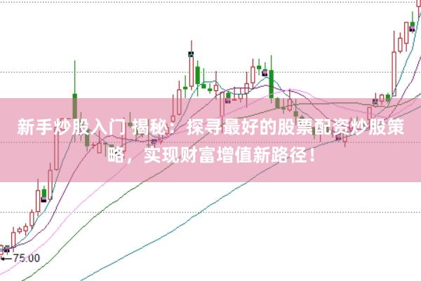 新手炒股入门 揭秘：探寻最好的股票配资炒股策略，实现财富增值新路径！