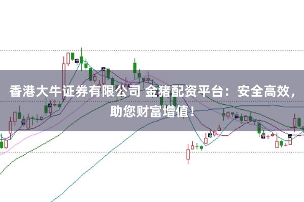 香港大牛证券有限公司 金猪配资平台：安全高效，助您财富增值！