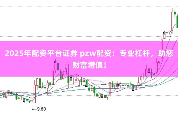 2025年配资平台证券 pzw配资：专业杠杆，助您财富增值！