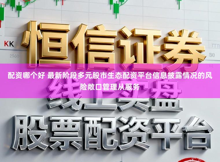 配资哪个好 最新阶段多元股市生态配资平台信息披露情况的风险敞口管理从服务