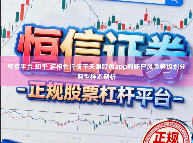 配资平台 知乎 结构性行情下天眼盯盘app的账户风险等级划分典型样本剖析