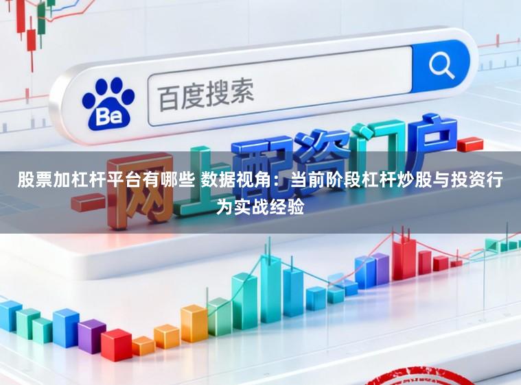股票加杠杆平台有哪些 数据视角：当前阶段杠杆炒股与投资行为实战经验